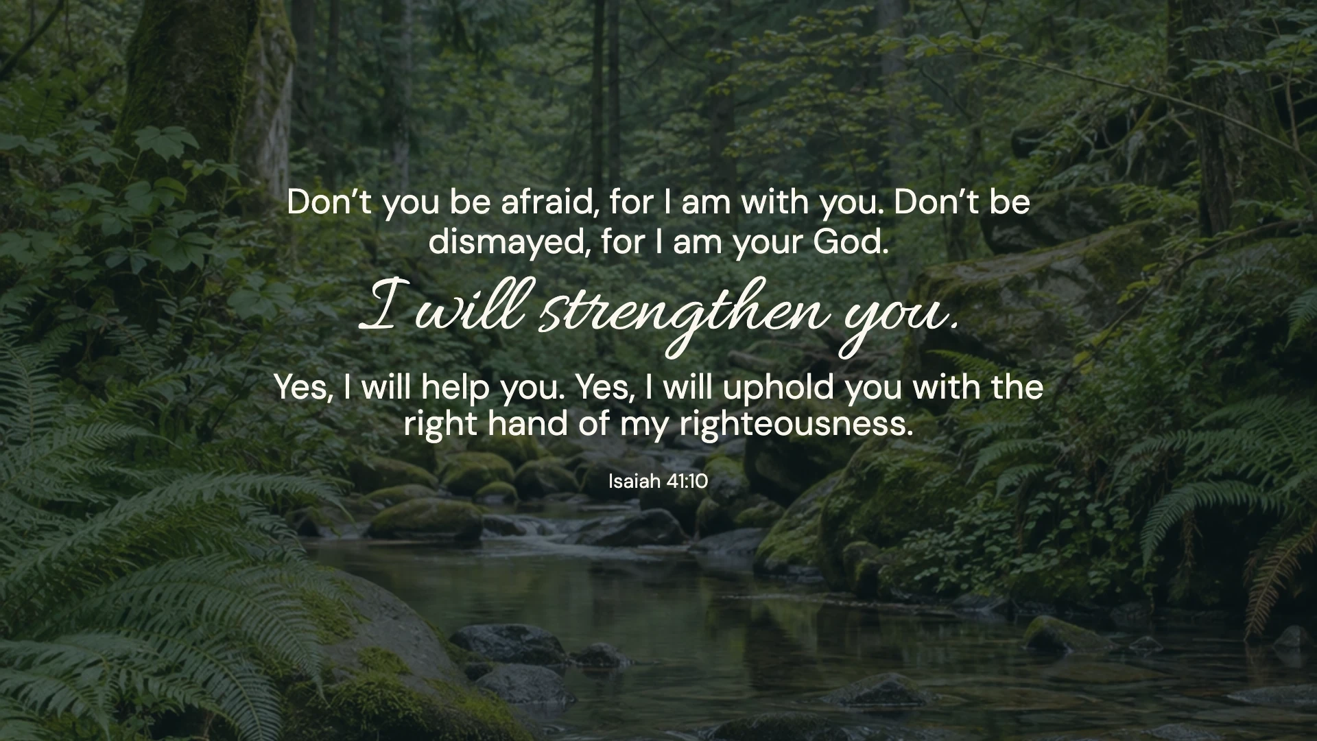 Isaiah 41:10 · Forest stillness — Nature desktop wallpaper. Isaiah 41:10: Don’t you be afraid, for I am with you. Don’t be dismayed, for I am your God. I will strengthen you. Yes, I will help you. Yes, I will uphold you with the right hand of my righteousness.