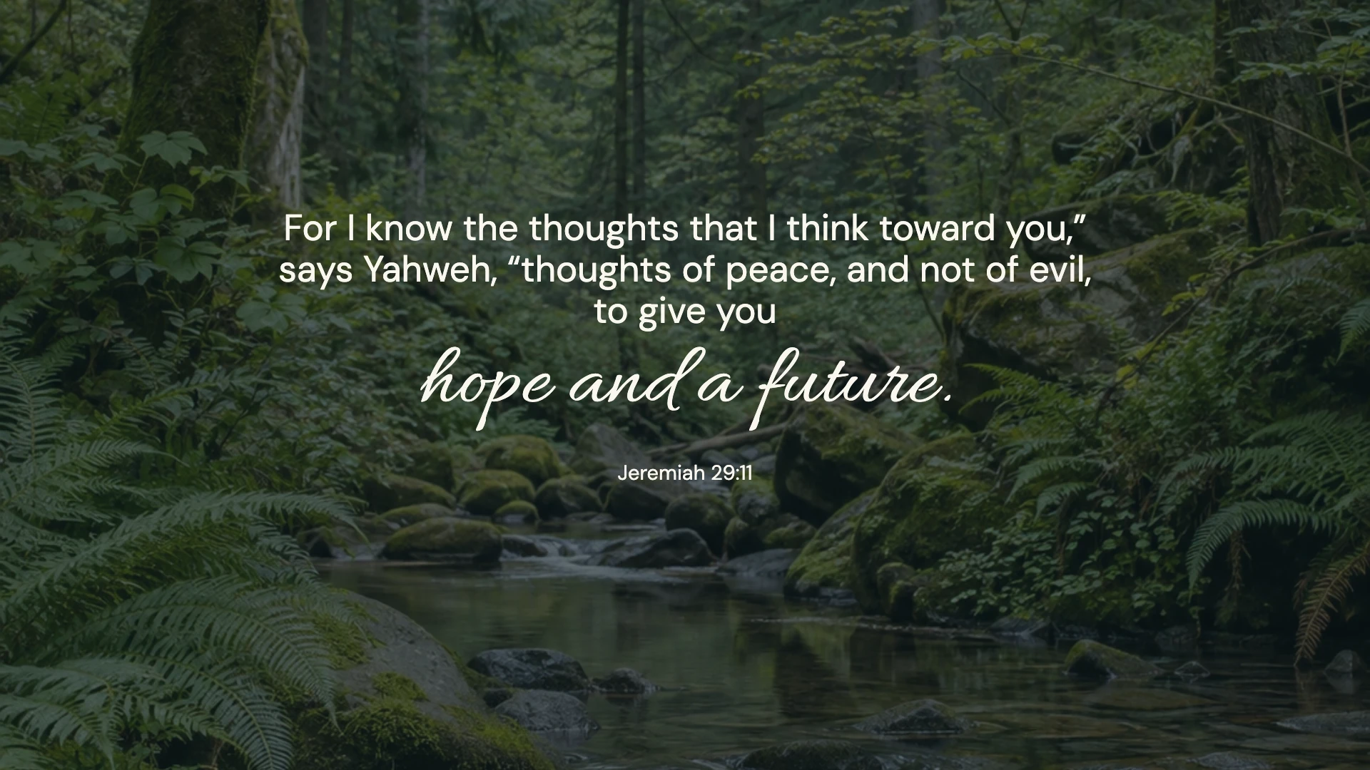 Jeremiah 29:11 · Forest stillness — Nature desktop wallpaper. Jeremiah 29:11: For I know the thoughts that I think toward you,” says Yahweh, “thoughts of peace, and not of evil, to give you hope and a future.
