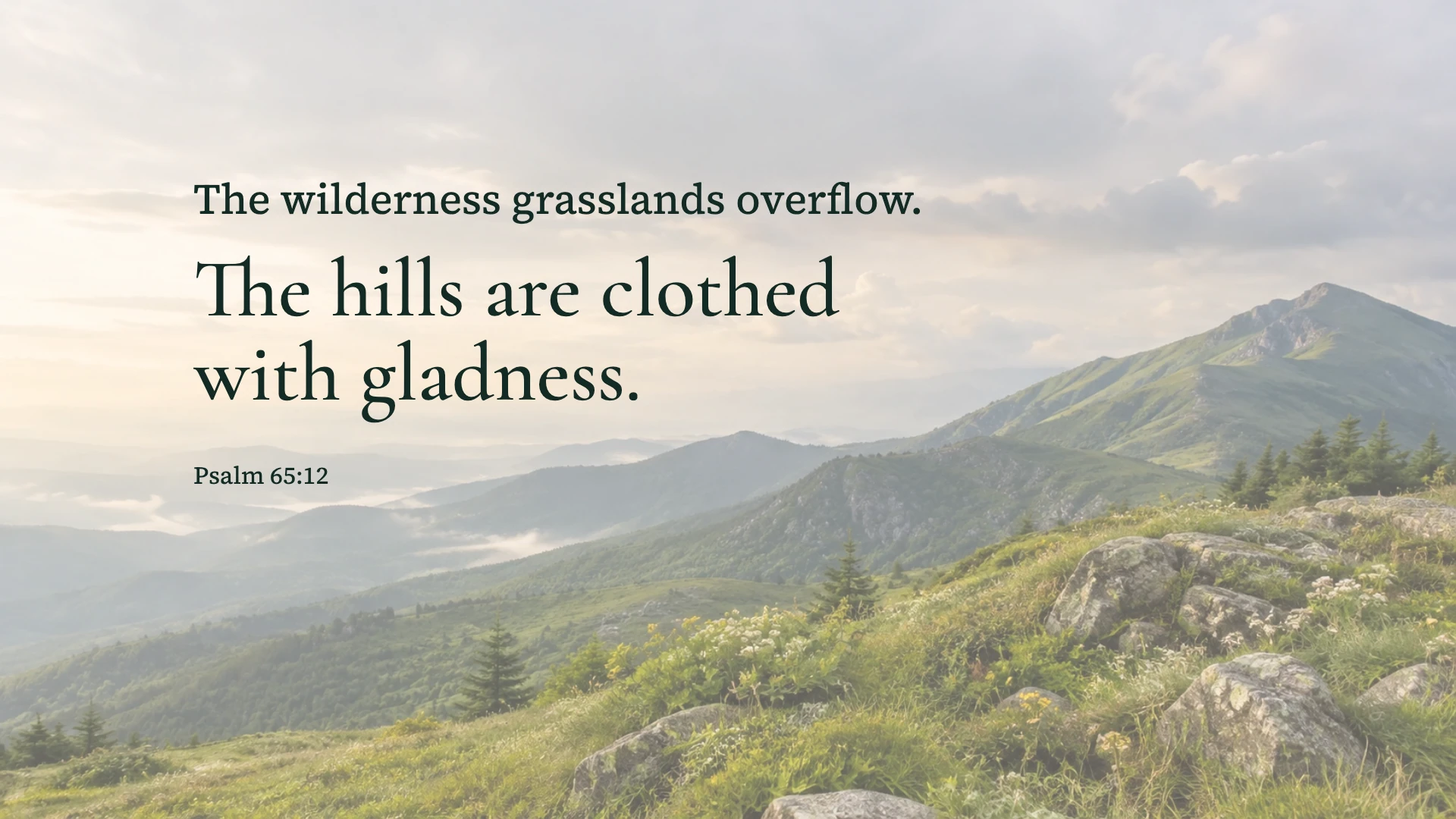 Hills clothed with gladness — Nature desktop wallpaper. Psalm 65:12: The wilderness grasslands overflow. The hills are clothed with gladness.