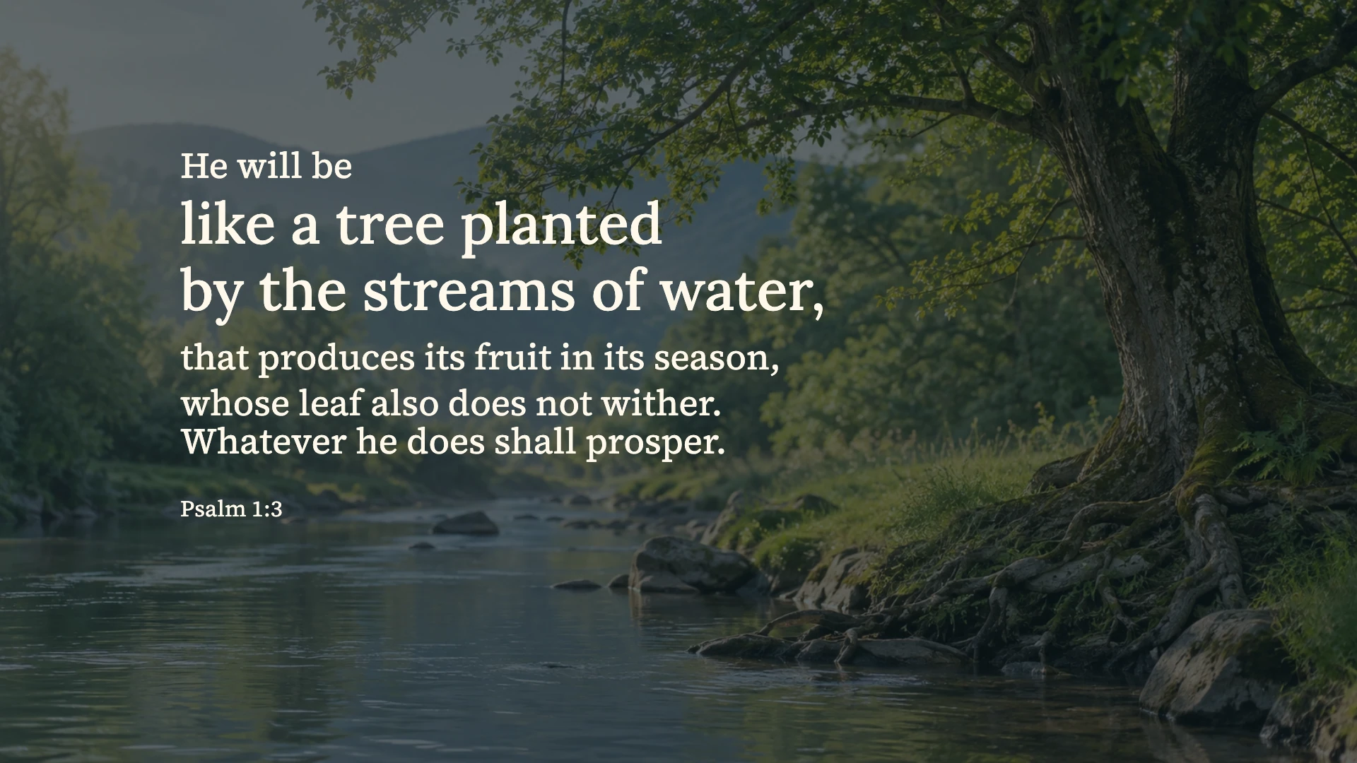 A tree by streams — Nature desktop wallpaper. Psalm 1:3: He will be like a tree planted by the streams of water, that produces its fruit in its season, whose leaf also does not wither. Whatever he does shall prosper.