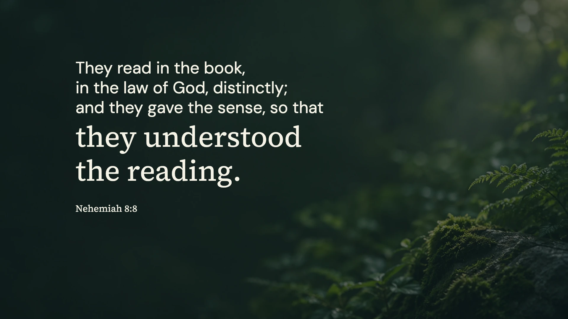 Understanding the reading — Worship desktop wallpaper. Nehemiah 8:8: They read in the book, in the law of God, distinctly; and they gave the sense, so that they understood the reading.