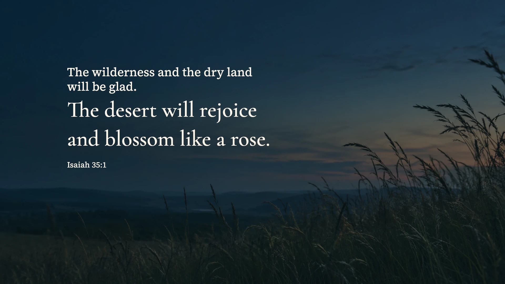The wilderness will be glad — Nature desktop wallpaper. Isaiah 35:1: The wilderness and the dry land will be glad. The desert will rejoice and blossom like a rose.