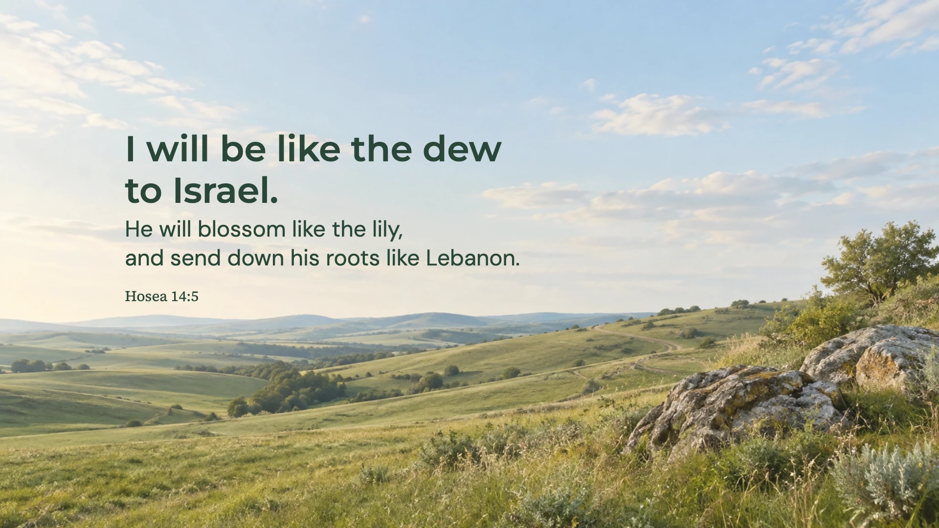 Like the dew to Israel — Nature desktop wallpaper. Hosea 14:5: I will be like the dew to Israel. He will blossom like the lily, and send down his roots like Lebanon.