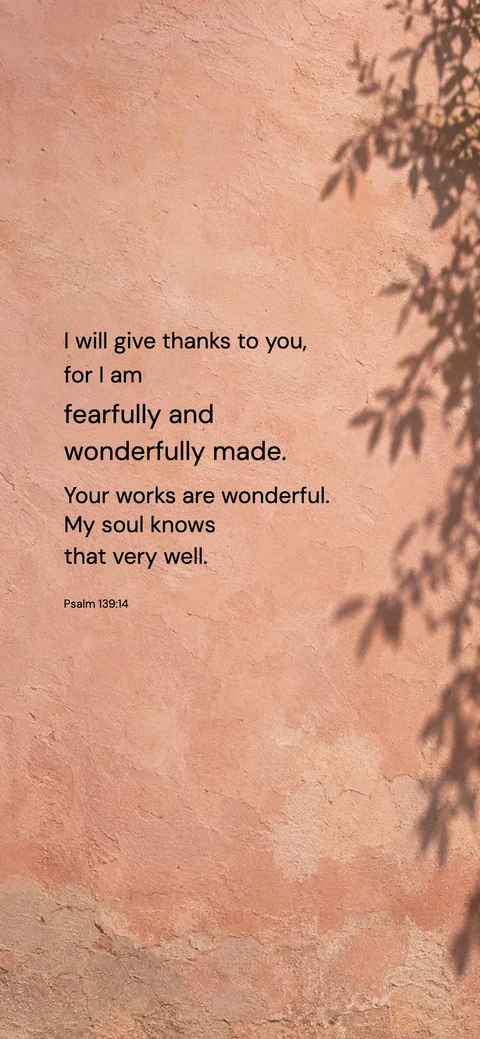 Pink wall and leaf shadow — Pink phone wallpaper. Psalm 139:14: I will give thanks to you, for I am fearfully and wonderfully made. Your works are wonderful. My soul knows that very well.