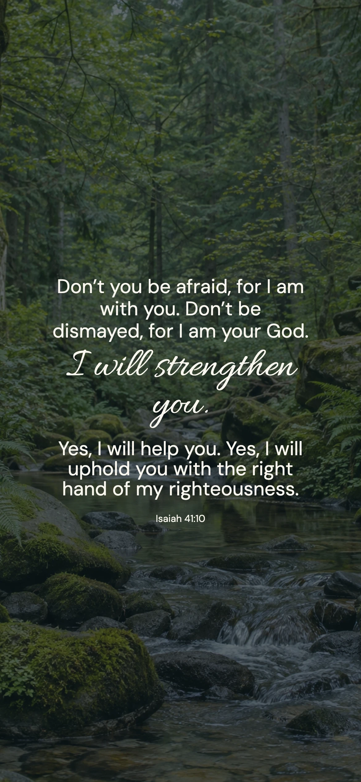 Isaiah 41:10 · Forest stillness — Nature phone wallpaper. Isaiah 41:10: Don’t you be afraid, for I am with you. Don’t be dismayed, for I am your God. I will strengthen you. Yes, I will help you. Yes, I will uphold you with the right hand of my righteousness.