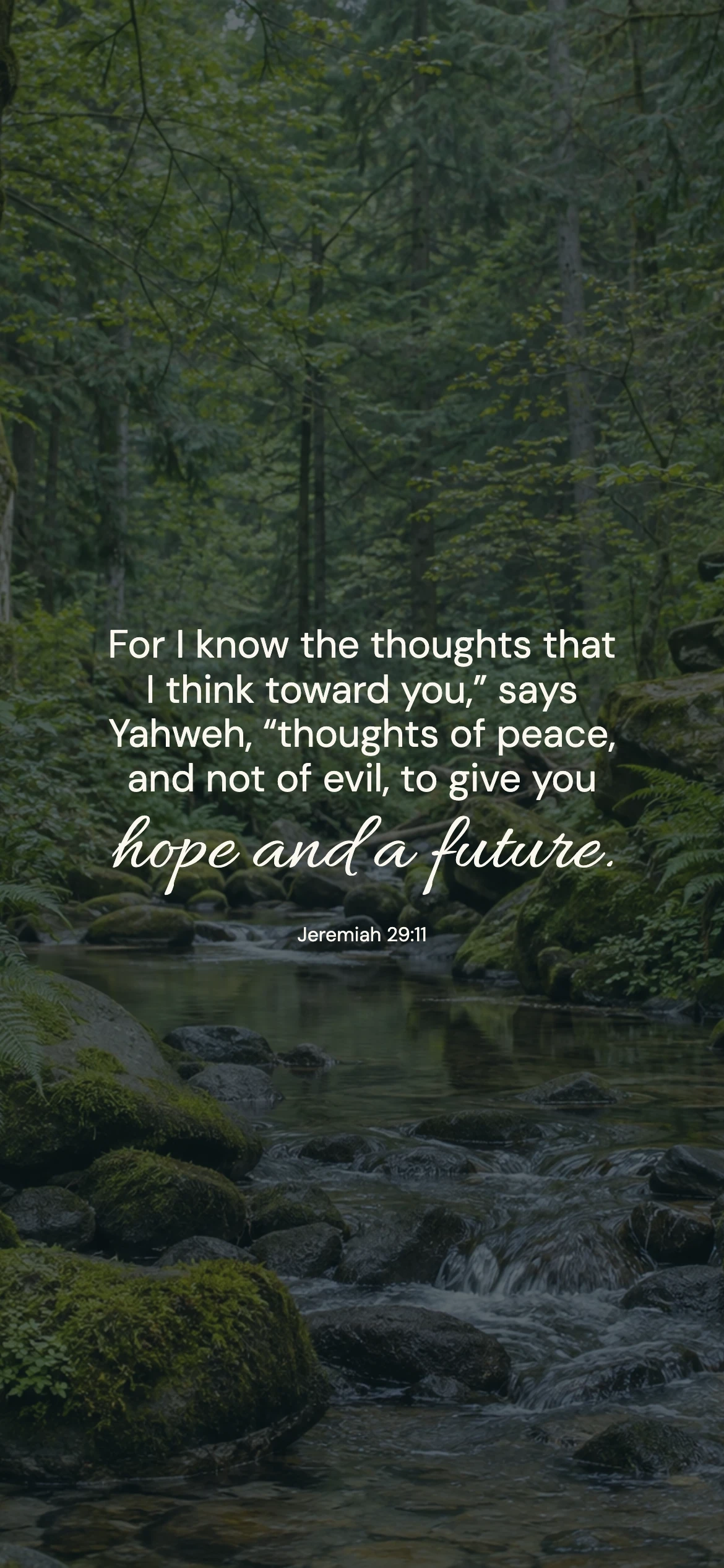 Jeremiah 29:11 · Forest stillness — Nature phone wallpaper. Jeremiah 29:11: For I know the thoughts that I think toward you,” says Yahweh, “thoughts of peace, and not of evil, to give you hope and a future.