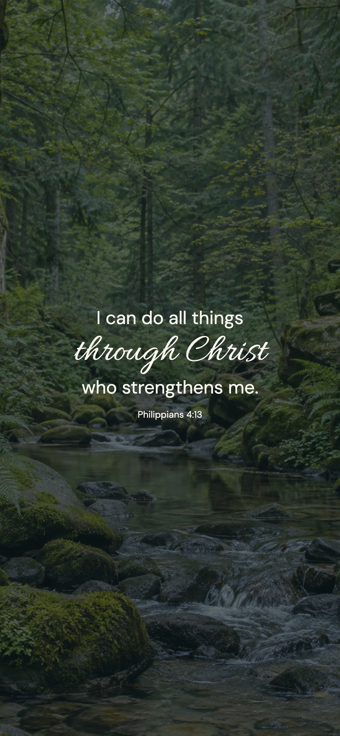 Philippians 4:13 · Forest stillness — Nature phone wallpaper. Philippians 4:13: I can do all things through Christ who strengthens me.