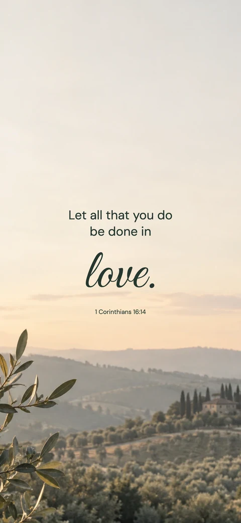 Olive morning — Nature phone wallpaper. 1 Corinthians 16:14: Let all that you do be done in love.