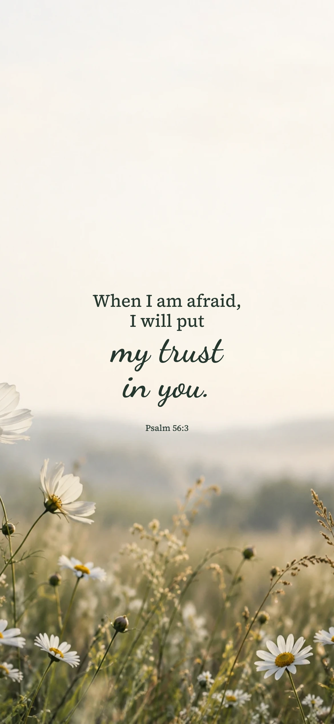 Meadow quiet — Nature phone wallpaper. Psalm 56:3: When I am afraid, I will put my trust in you.