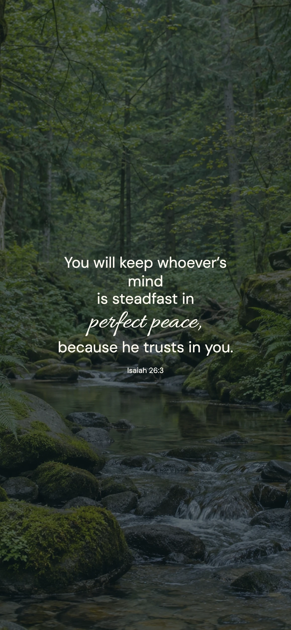 Forest peace — Nature phone wallpaper. Isaiah 26:3: You will keep whoever’s mind is steadfast in perfect peace, because he trusts in you.