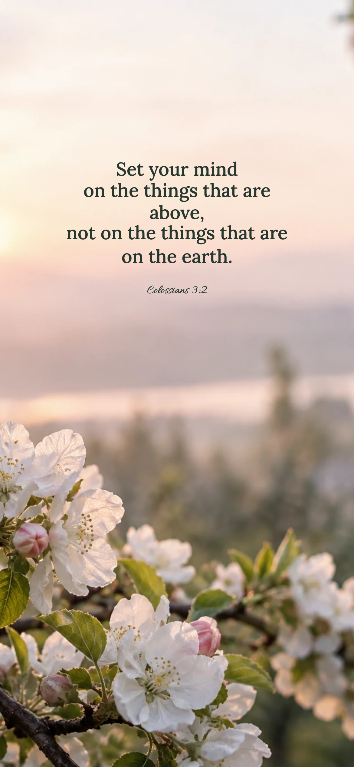 Spring perspective — Nature phone wallpaper. Colossians 3:2: Set your mind on the things that are above, not on the things that are on the earth.