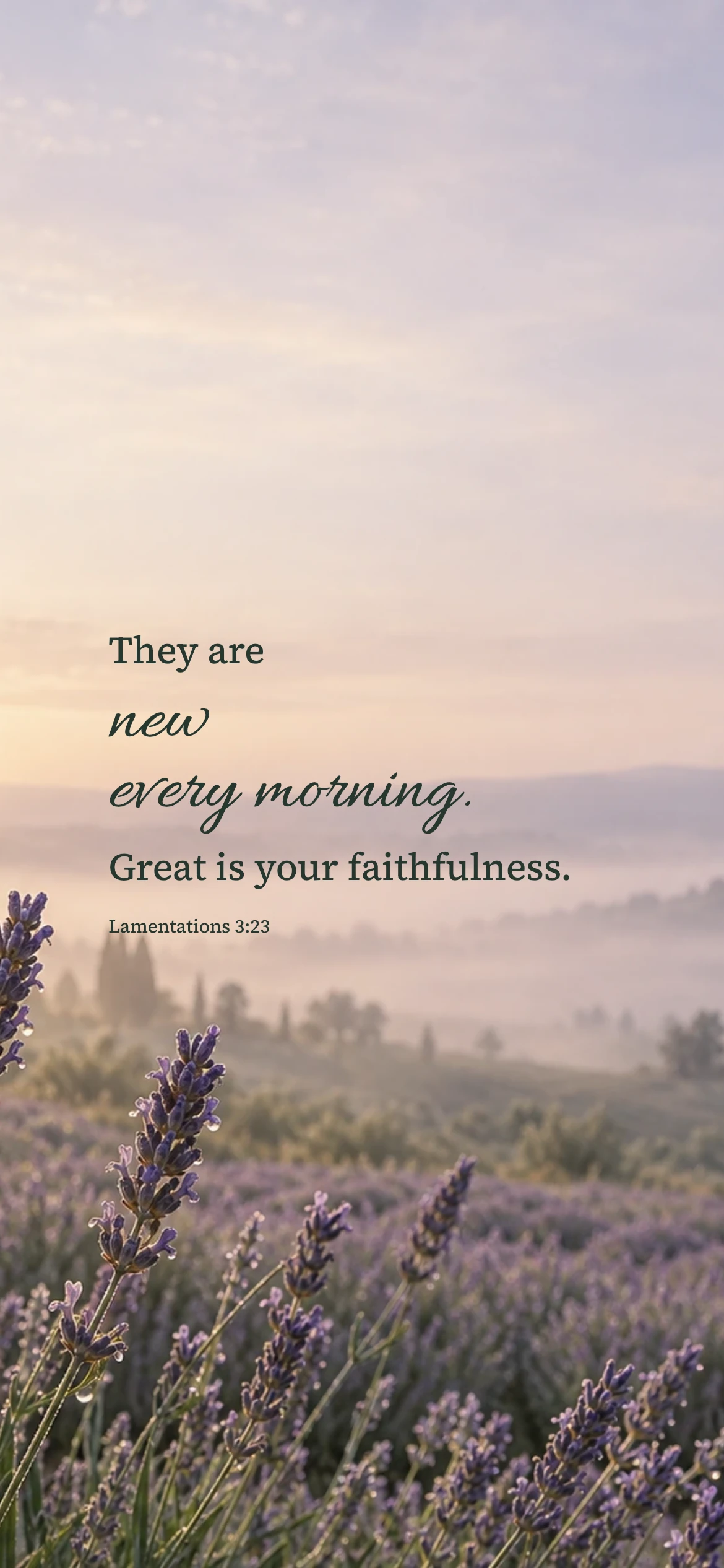 New every morning — Nature phone wallpaper. Lamentations 3:23: They are new every morning. Great is your faithfulness.