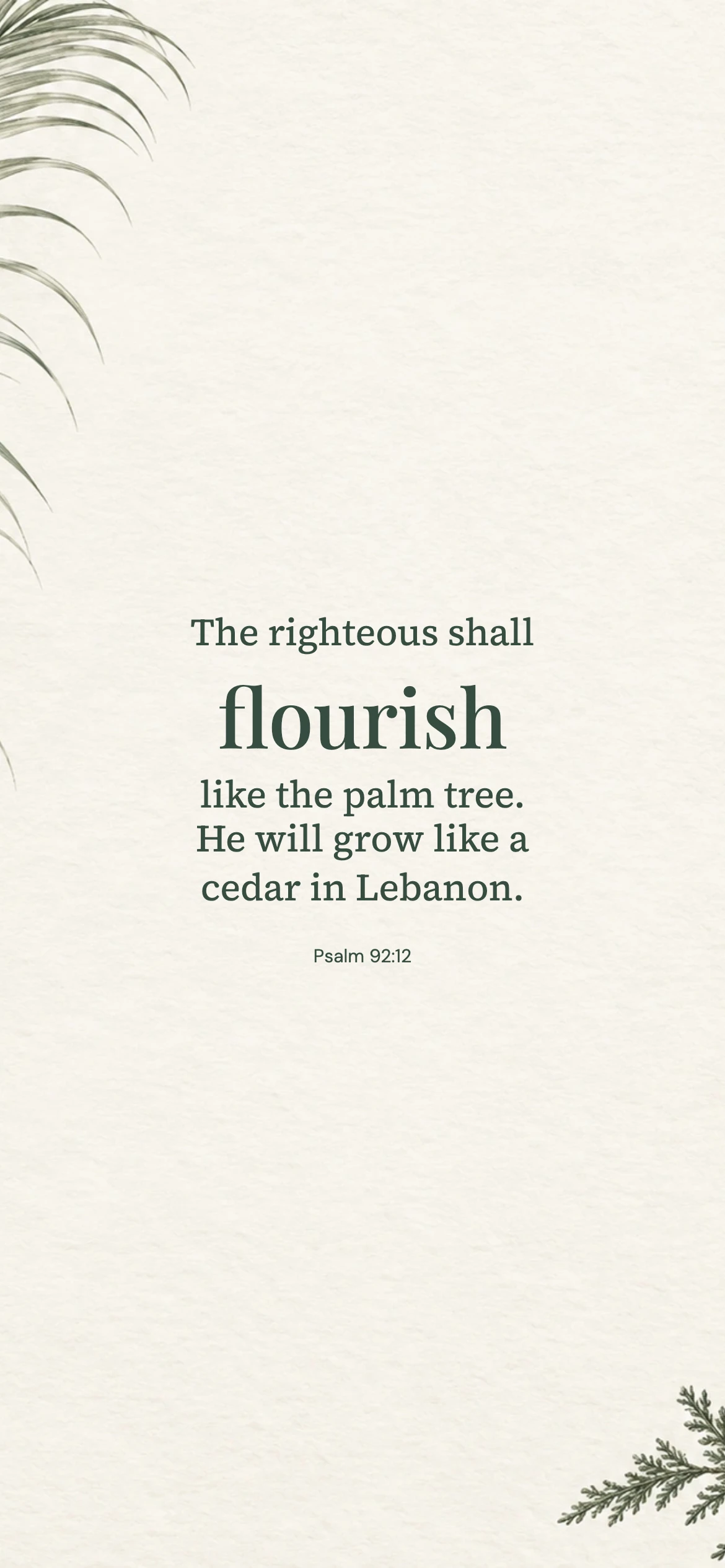 The righteous shall flourish — Floral phone wallpaper. Psalm 92:12: The righteous shall flourish like the palm tree. He will grow like a cedar in Lebanon.