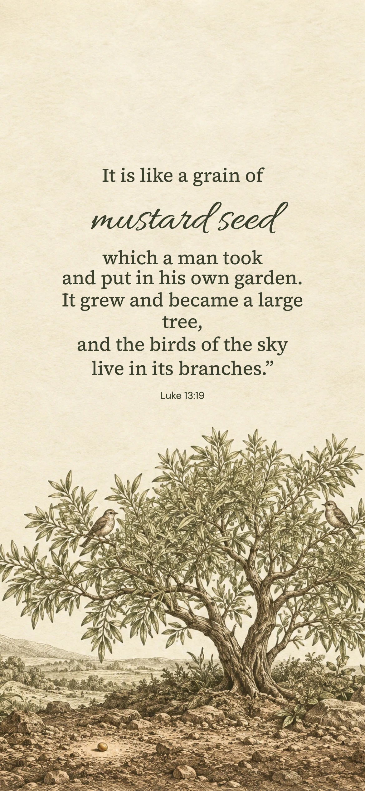 Mustard seed — Biblical stories phone wallpaper. Luke 13:19: It is like a grain of mustard seed which a man took and put in his own garden. It grew and became a large tree, and the birds of the sky live in its branches.”