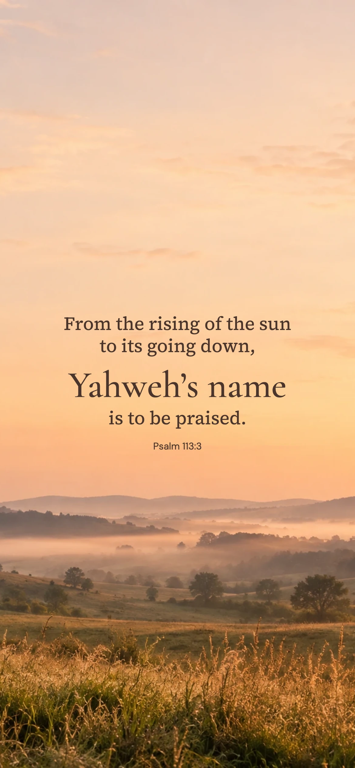 A name to be praised — Nature phone wallpaper. Psalm 113:3: From the rising of the sun to its going down, Yahweh’s name is to be praised.