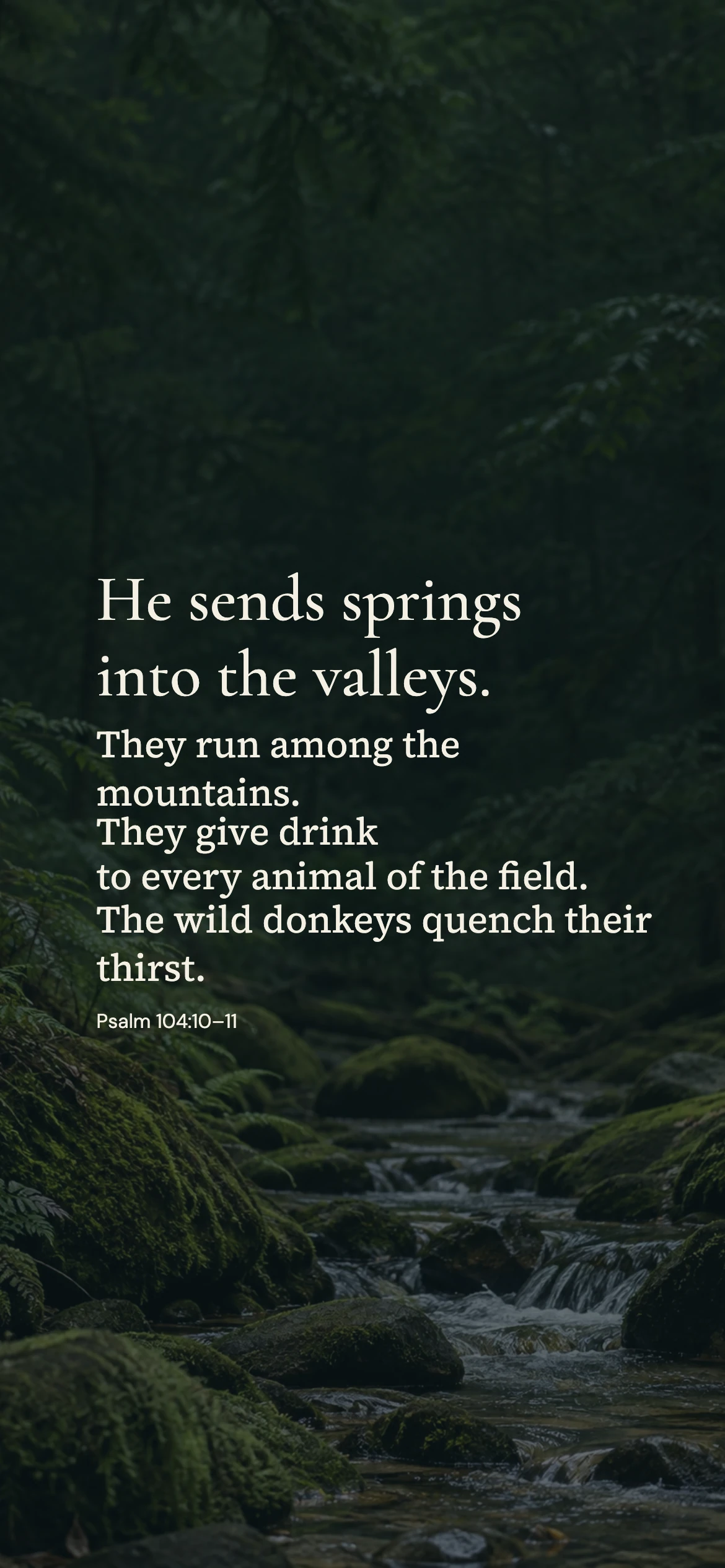 Springs into the valleys — Nature phone wallpaper. Psalm 104:10–11: He sends springs into the valleys. They run among the mountains. They give drink to every animal of the field. The wild donkeys quench their thirst.