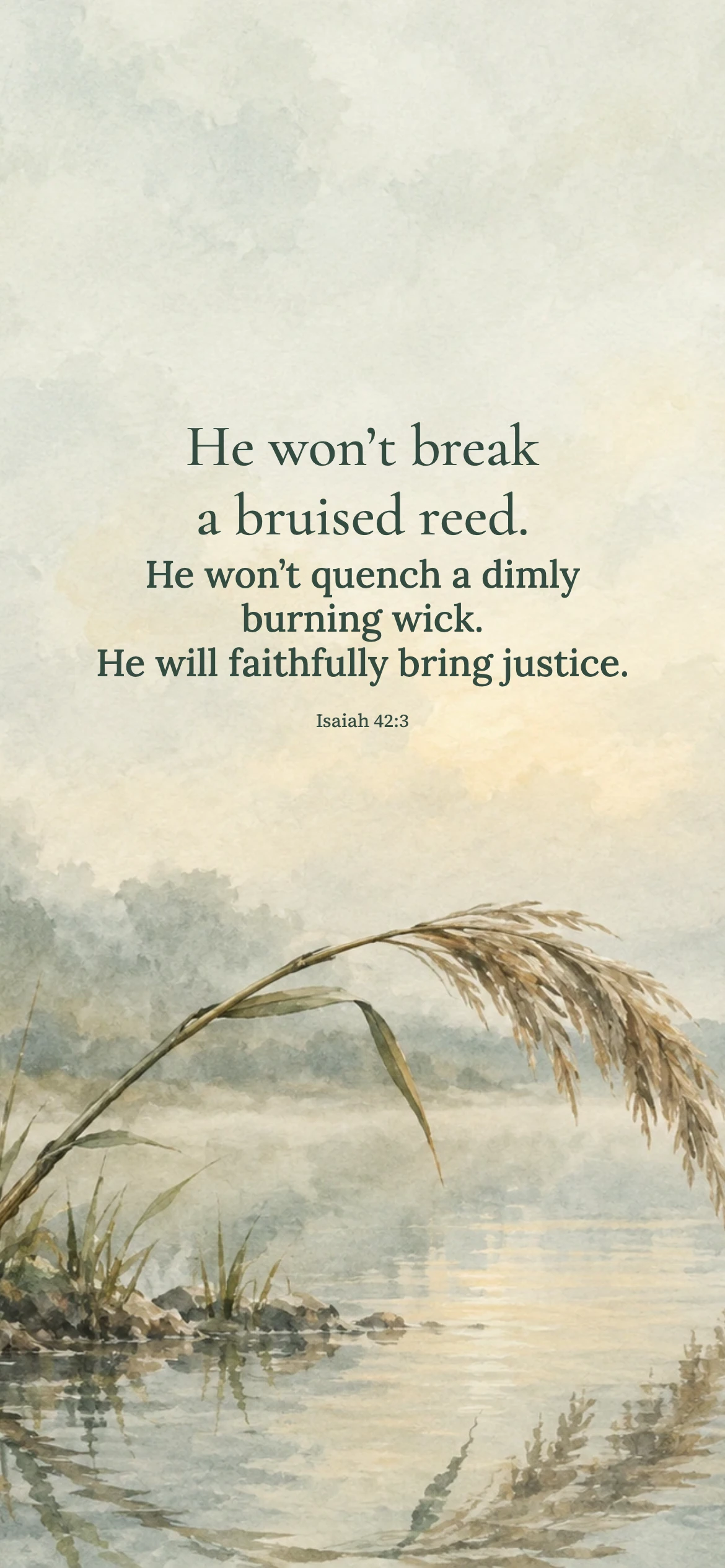 The bruised reed — Biblical stories phone wallpaper. Isaiah 42:3: He won’t break a bruised reed. He won’t quench a dimly burning wick. He will faithfully bring justice.